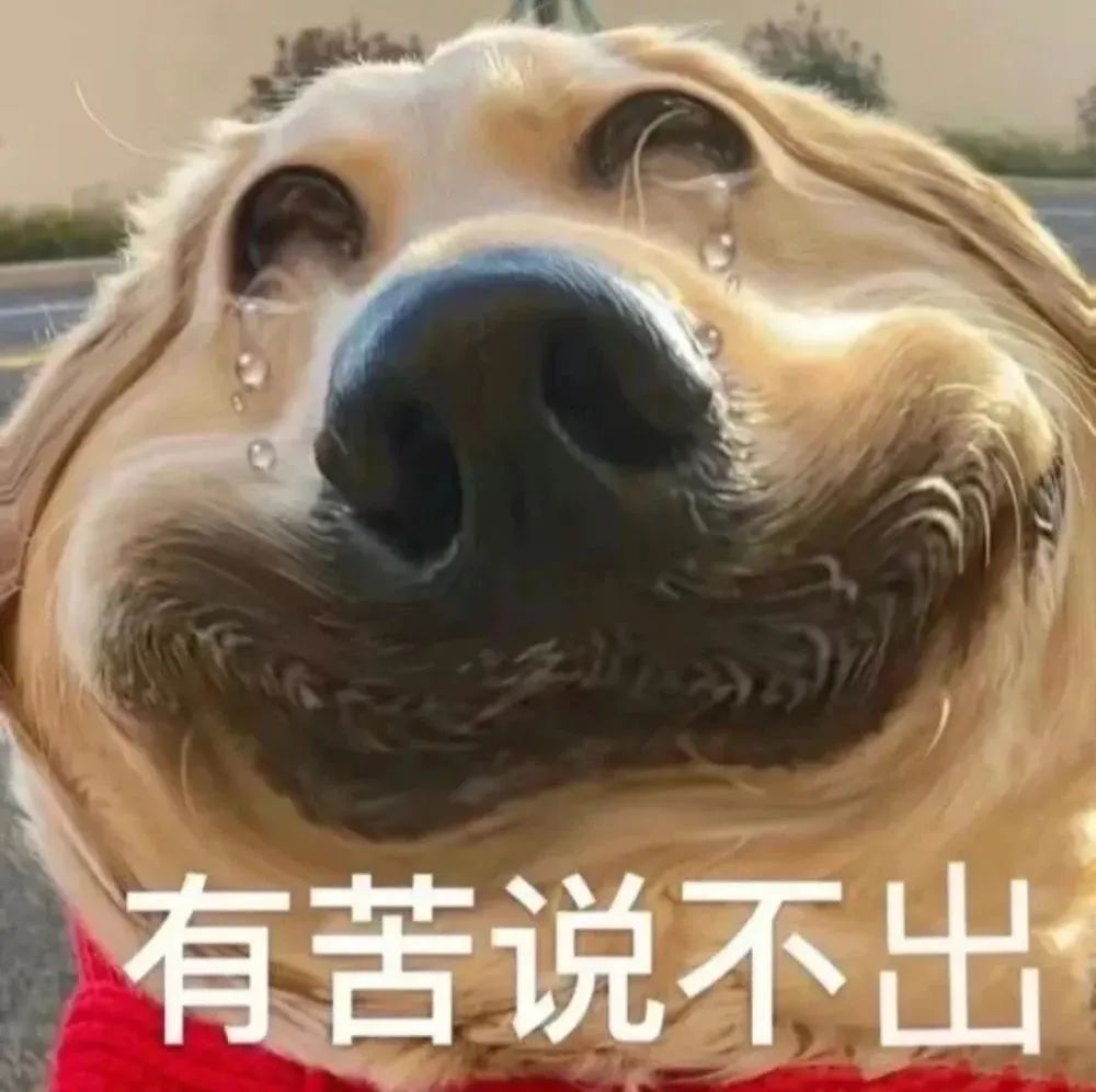 扫把的“进化史”，越来越实用！