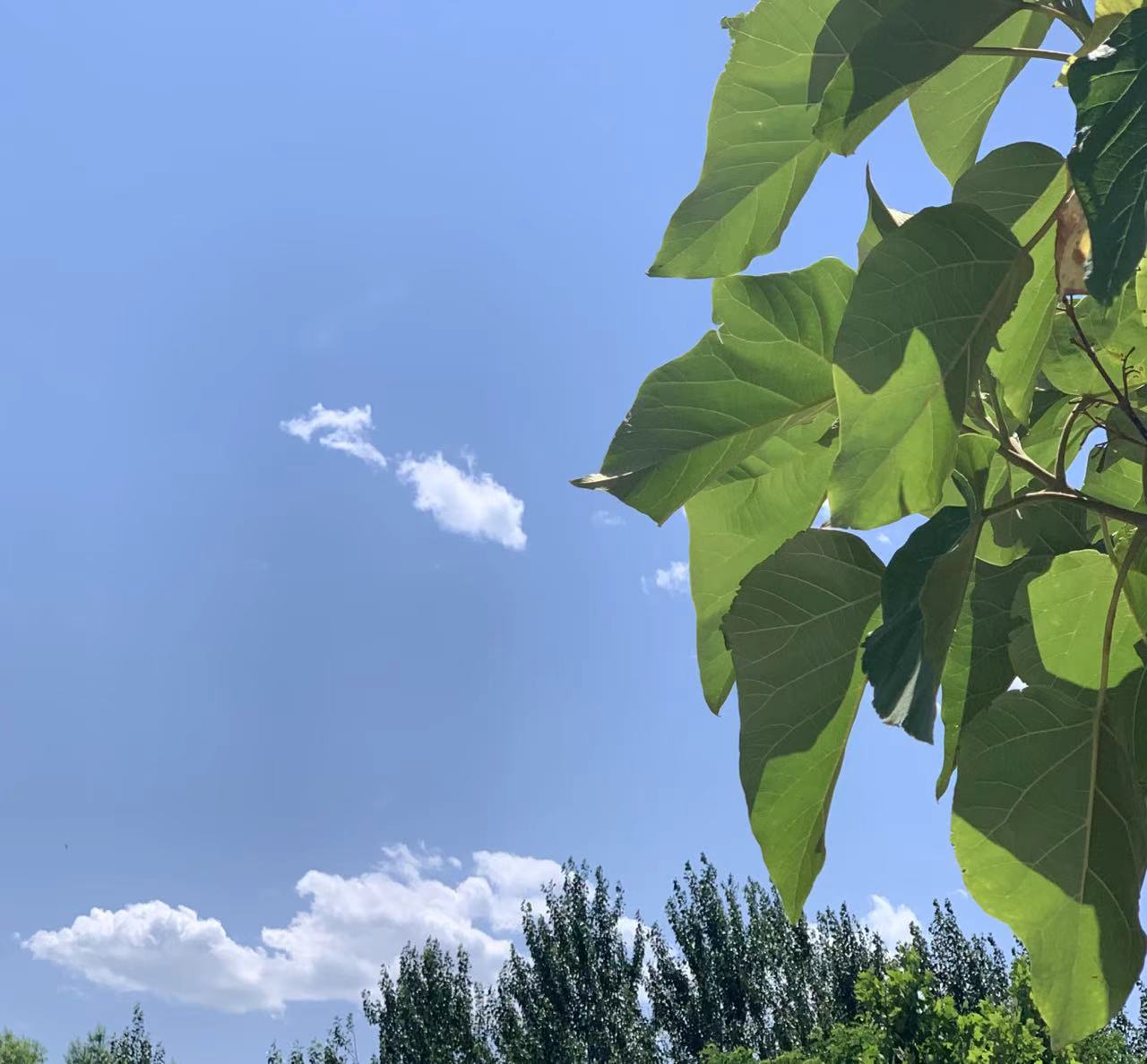 办公桌一般是多高？