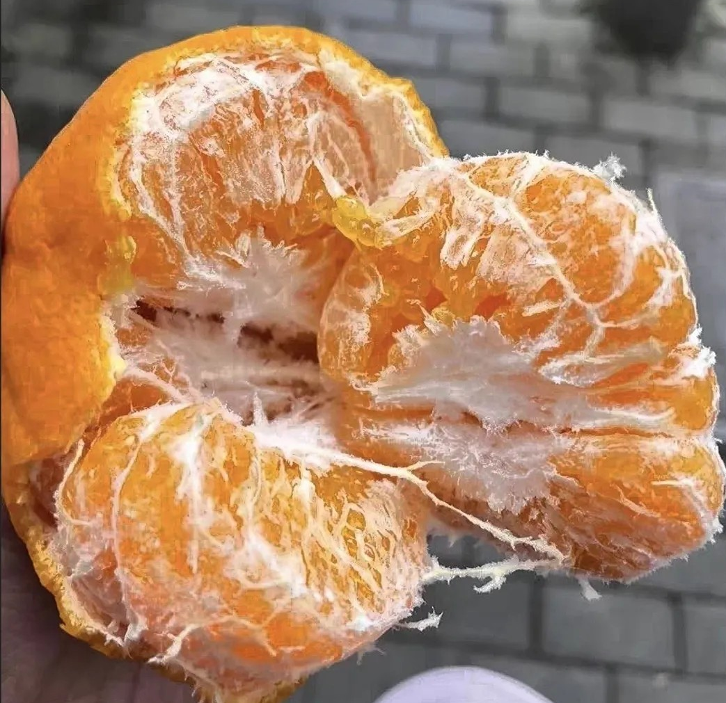 【💥18元5斤！速抢！！】整箱超大果不知火丑橘！！🍊