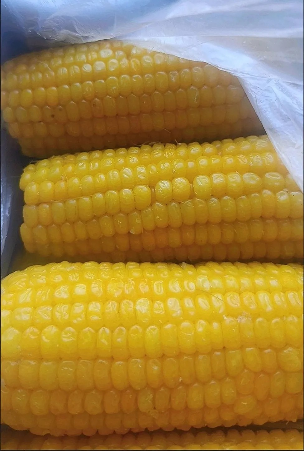 【💥10元优惠券!手慢无!!】自然甜糯玉米 吃出健康美好!🌽
